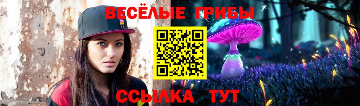 Псилоцибиновые грибы Magic Shrooms  Псилоцибиновые грибы Cubensis  Вход с VPN  Конаково 